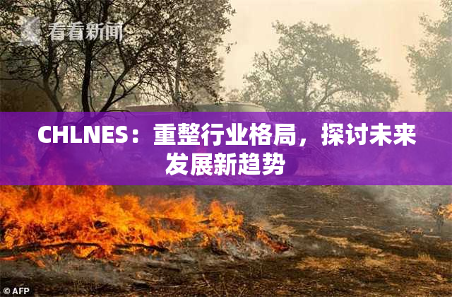 CHLNES：重整行业格局，探讨未来发展新趋势