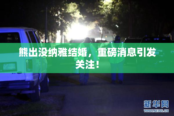 熊出没纳雅结婚，重磅消息引发关注！