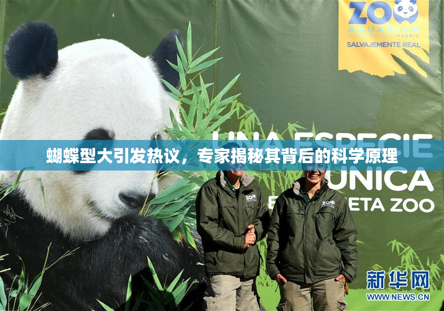 蝴蝶型大引发热议，专家揭秘其背后的科学原理