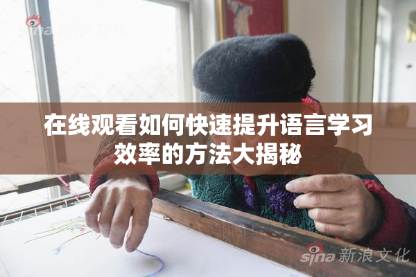在线观看如何快速提升语言学习效率的方法大揭秘