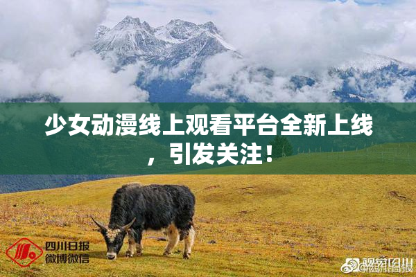 少女动漫线上观看平台全新上线，引发关注！