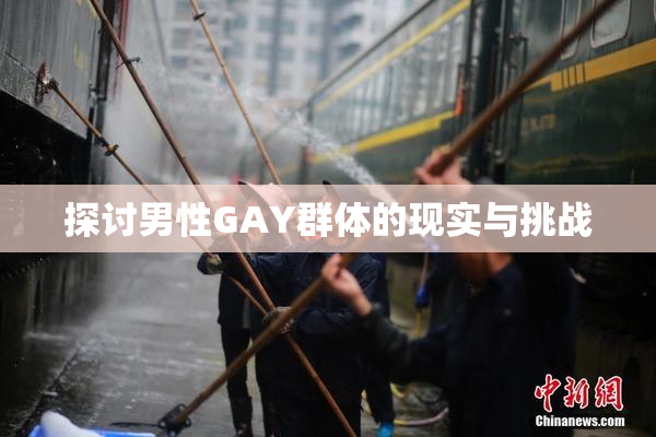 探讨男性GAY群体的现实与挑战