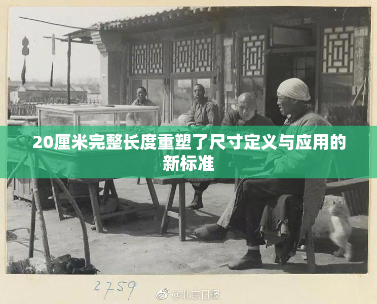 20厘米完整长度重塑了尺寸定义与应用的新标准