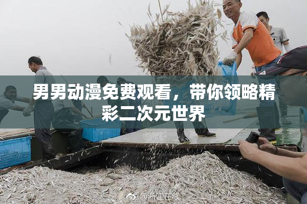 男男动漫免费观看，带你领略精彩二次元世界