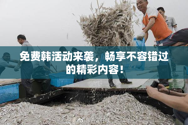 免费韩活动来袭，畅享不容错过的精彩内容！