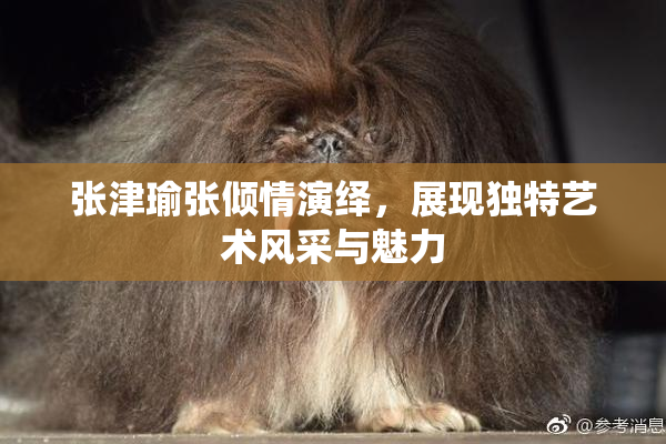 张津瑜张倾情演绎，展现独特艺术风采与魅力