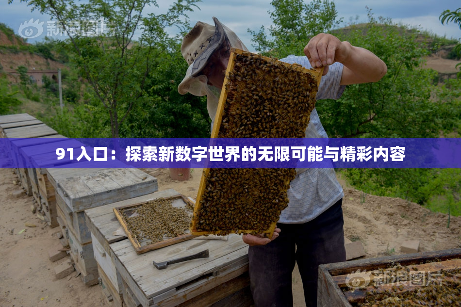 91入口：探索新数字世界的无限可能与精彩内容