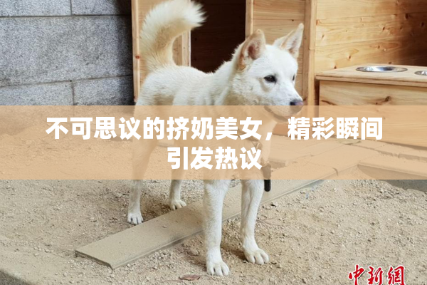 不可思议的挤奶美女，精彩瞬间引发热议
