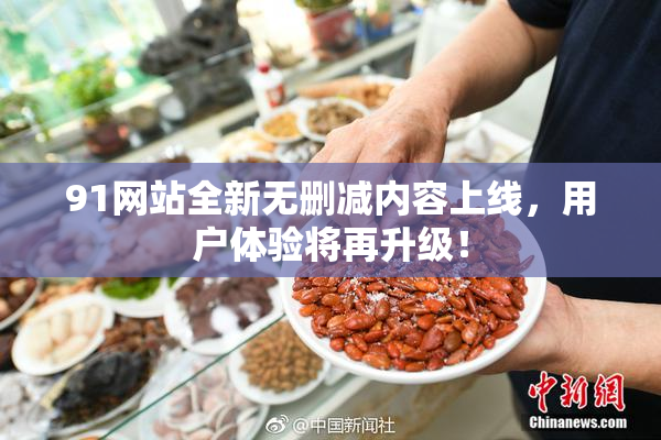 91网站全新无删减内容上线，用户体验将再升级！