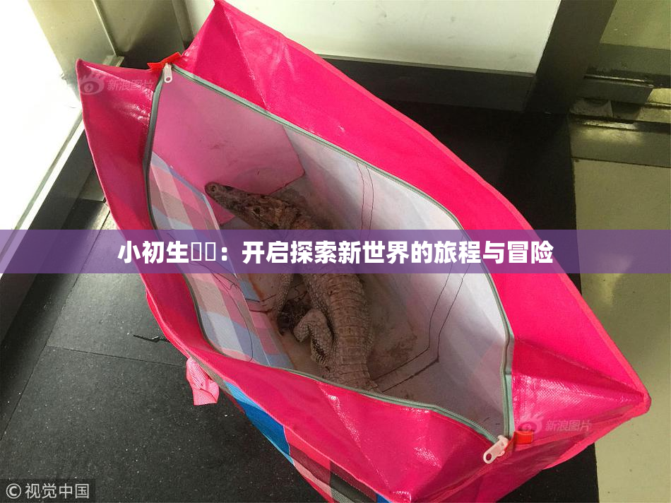 小初生❌‌：开启探索新世界的旅程与冒险