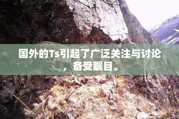 国外的Ts引起了广泛关注与讨论，备受瞩目。