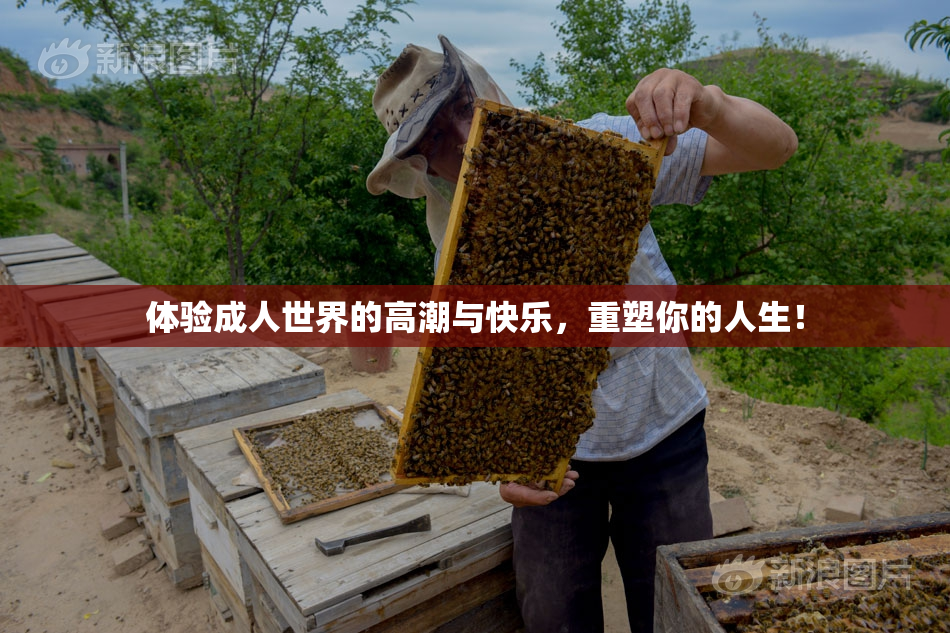 体验成人世界的高潮与快乐，重塑你的人生！
