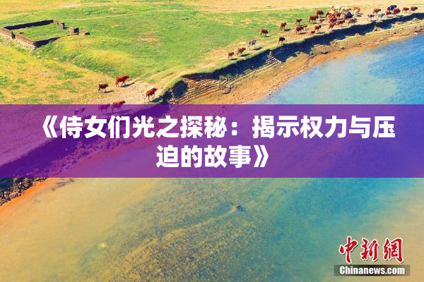 《侍女们光之探秘：揭示权力与压迫的故事》