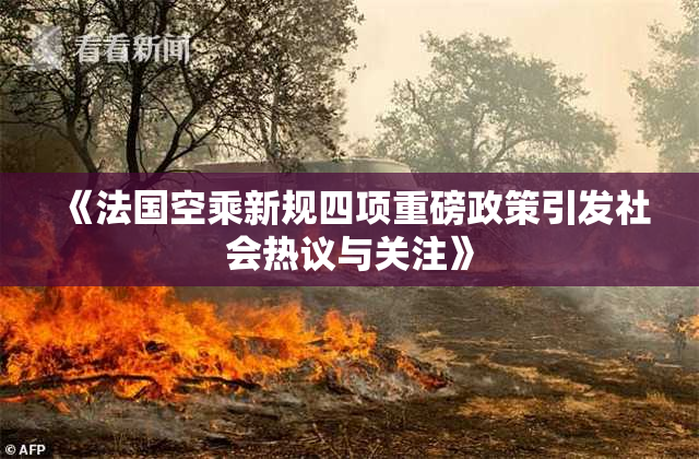 《法国空乘新规四项重磅政策引发社会热议与关注》