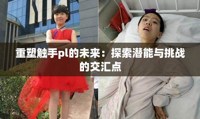 重塑触手pl的未来：探索潜能与挑战的交汇点