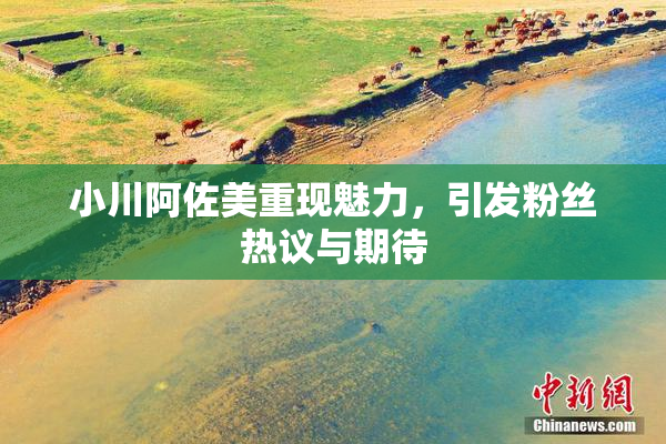 小川阿佐美重现魅力，引发粉丝热议与期待