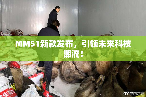 MM51新款发布，引领未来科技潮流！