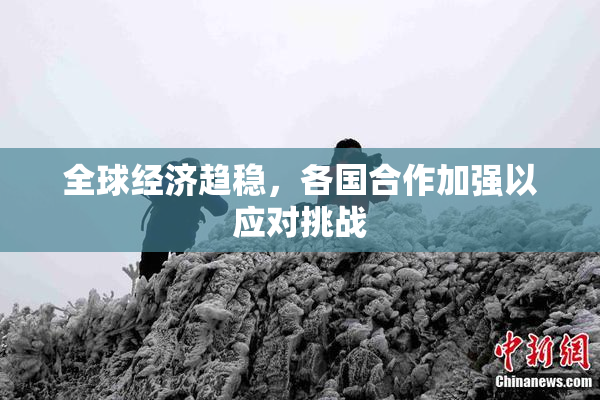 全球经济趋稳，各国合作加强以应对挑战