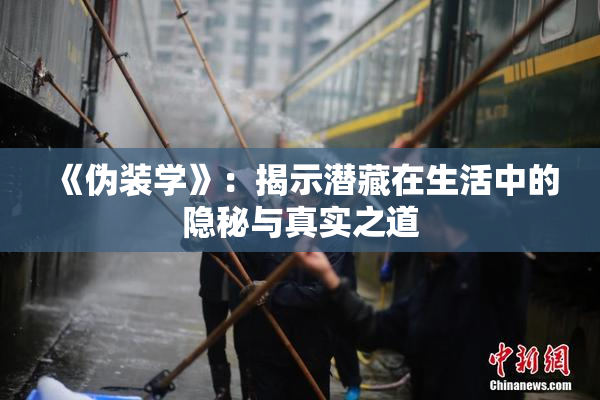 《伪装学》：揭示潜藏在生活中的隐秘与真实之道