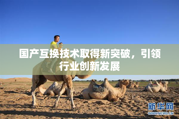国产互换技术取得新突破，引领行业创新发展
