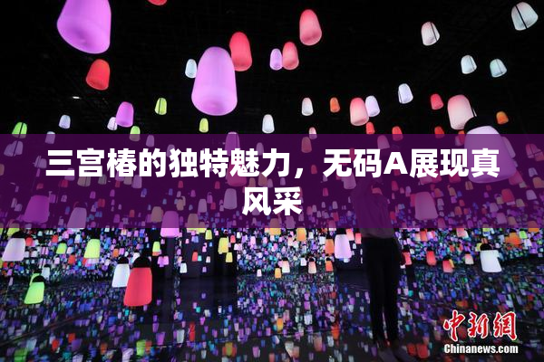 三宫椿的独特魅力，无码A展现真风采