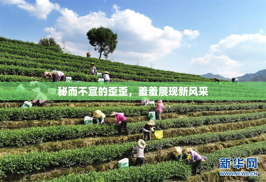 秘而不宣的歪歪，羞羞展现新风采