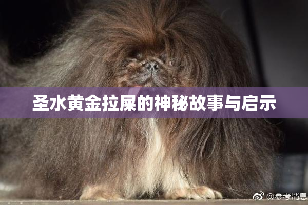 圣水黄金拉屎的神秘故事与启示