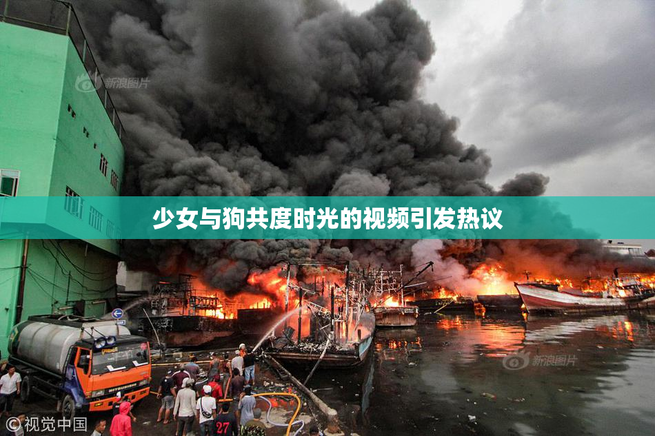 少女与狗共度时光的视频引发热议