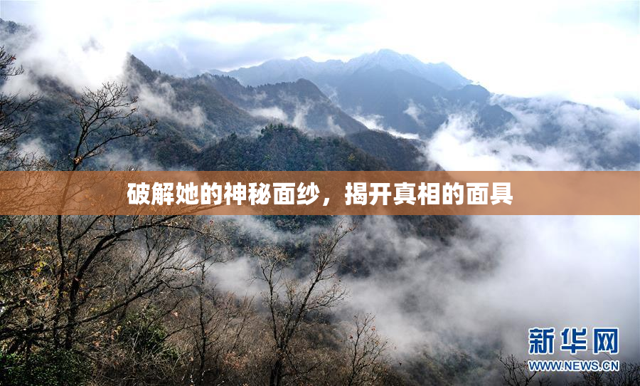 破解她的神秘面纱，揭开真相的面具