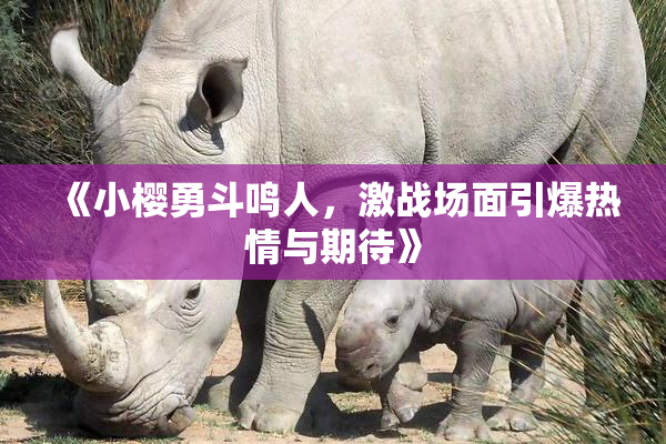 《小樱勇斗鸣人，激战场面引爆热情与期待》