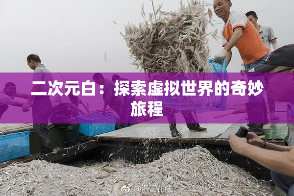 二次元白：探索虚拟世界的奇妙旅程