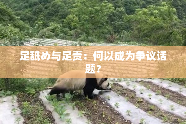 足舐め与足责：何以成为争议话题？