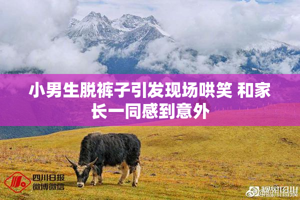 小男生脱裤子引发现场哄笑 和家长一同感到意外