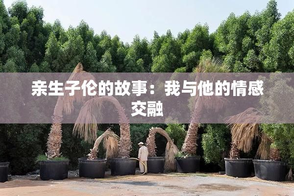 亲生子伦的故事：我与他的情感交融