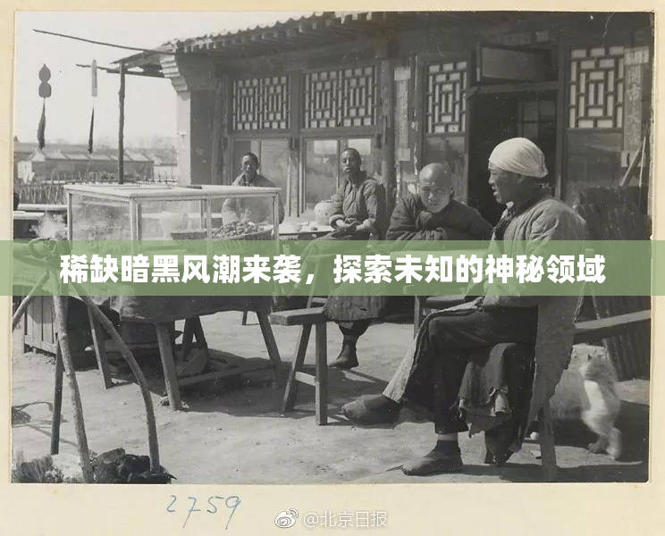 稀缺暗黑风潮来袭，探索未知的神秘领域