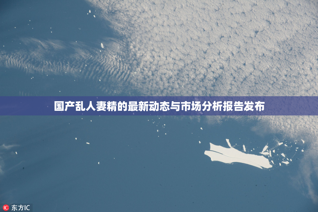 国产乱人妻精的最新动态与市场分析报告发布