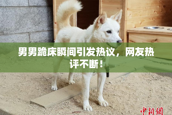 男男跪床瞬间引发热议，网友热评不断！