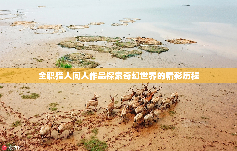 全职猎人同人作品探索奇幻世界的精彩历程