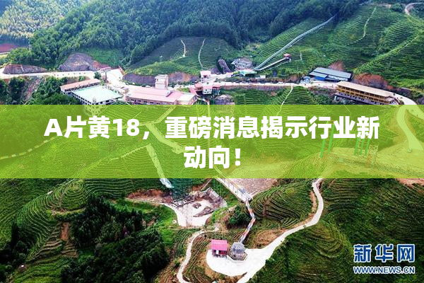 A片黄18，重磅消息揭示行业新动向！