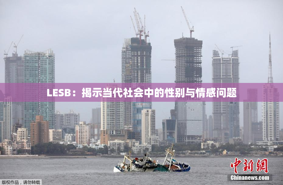 LESB：揭示当代社会中的性别与情感问题