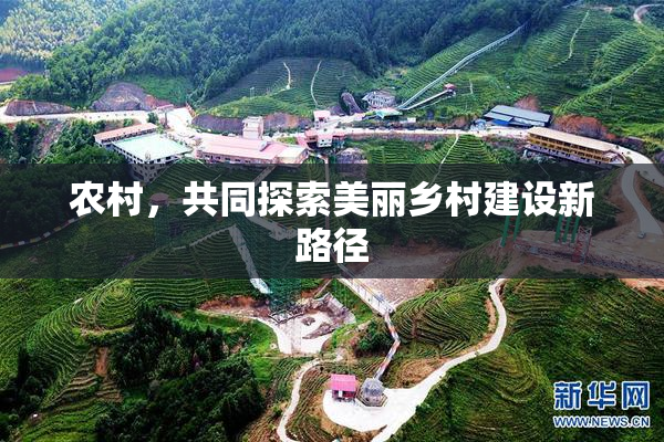 农村，共同探索美丽乡村建设新路径