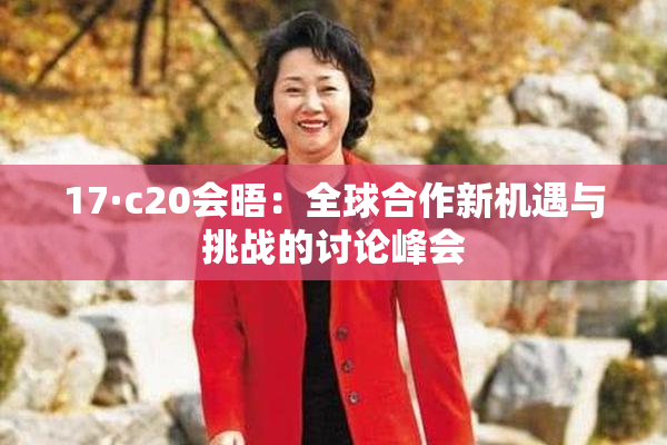 17·c20会晤：全球合作新机遇与挑战的讨论峰会