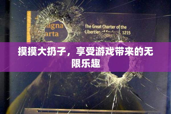 摸摸大扔子，享受游戏带来的无限乐趣