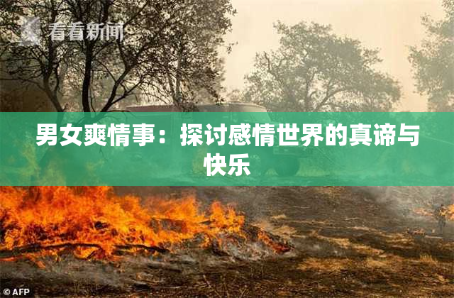 男女爽情事：探讨感情世界的真谛与快乐