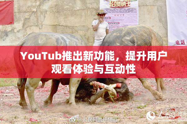 YouTub推出新功能，提升用户观看体验与互动性