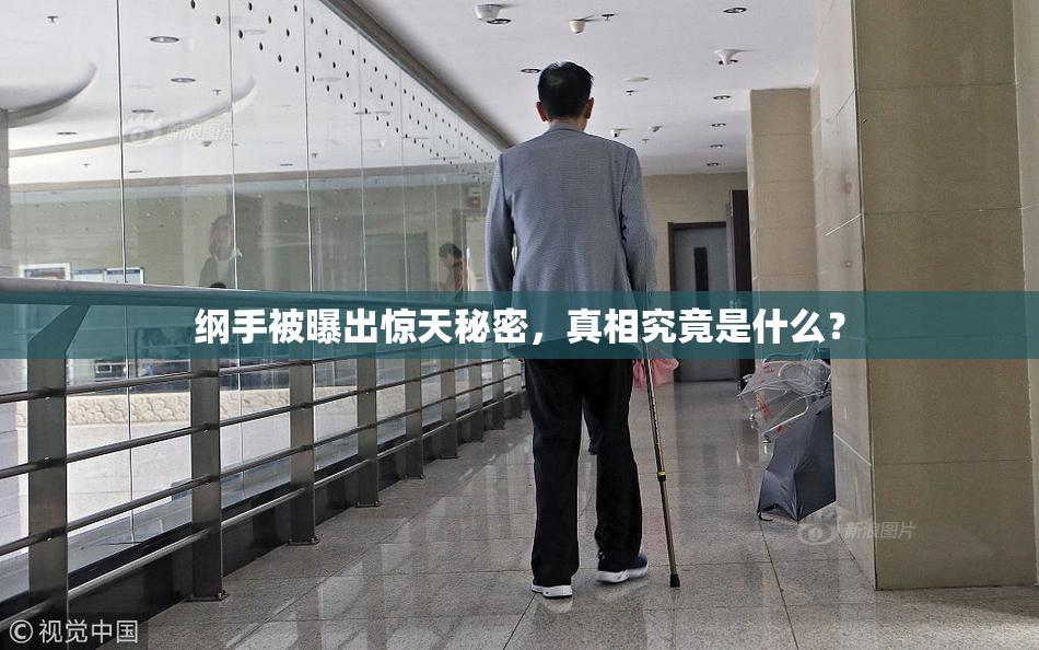 纲手被曝出惊天秘密，真相究竟是什么？