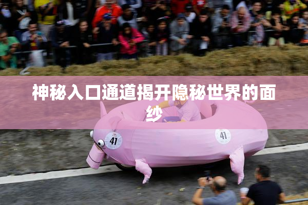 神秘入口通道揭开隐秘世界的面纱
