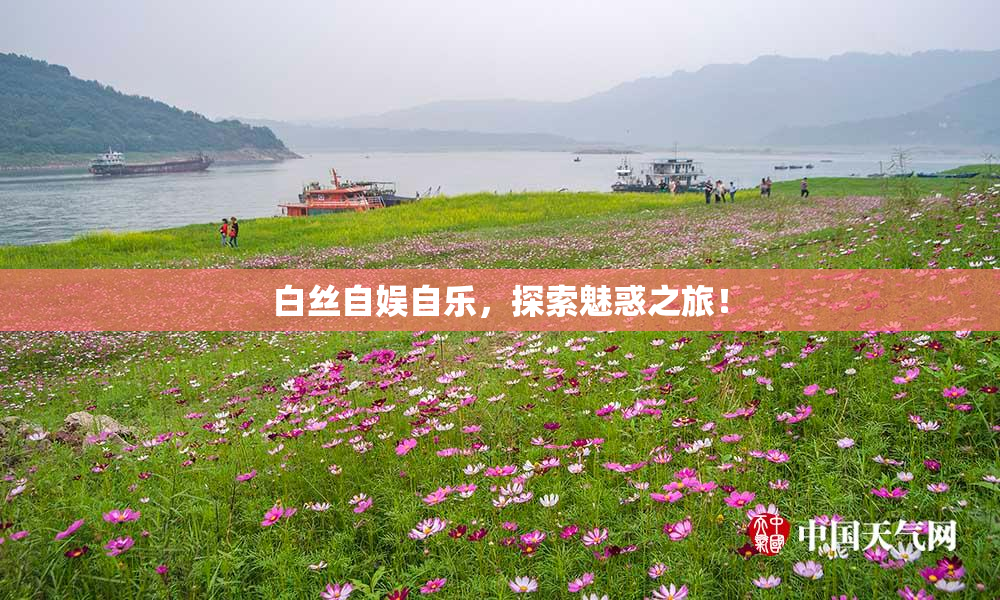 白丝自娱自乐，探索魅惑之旅！