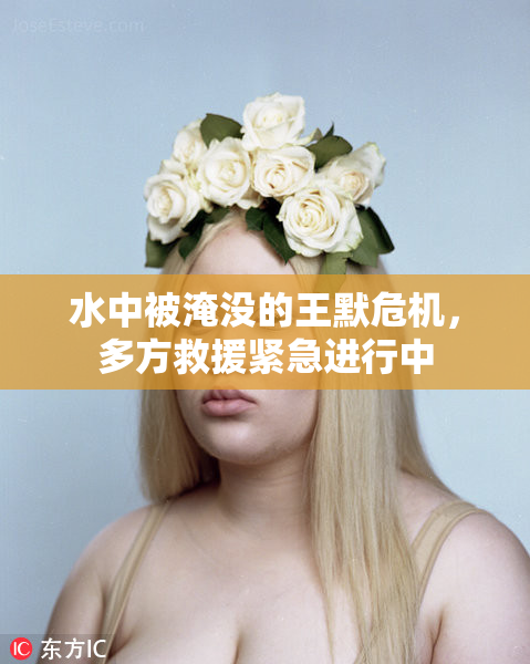 水中被淹没的王默危机，多方救援紧急进行中