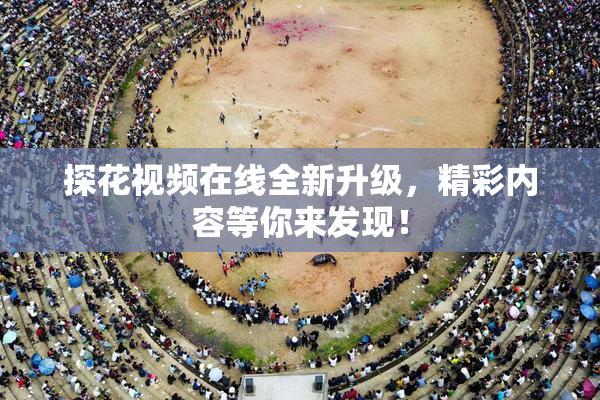 探花视频在线全新升级，精彩内容等你来发现！